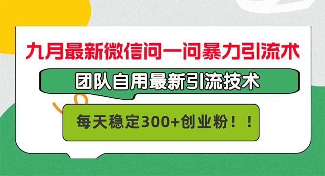 （12735期）九月最新微信问一问暴力引流术，团队自用引流术，每天稳定300+创…-凌秋网创