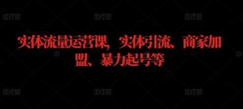实体流量运营课，实体引流、商家加盟、暴力起号等-凌秋网创
