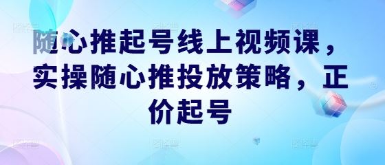 随心推起号线上视频课，实操随心推投放策略，正价起号-凌秋网创