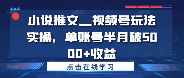 小说推文—视频号玩法实操，单账号半月破5000+收益-凌秋网创