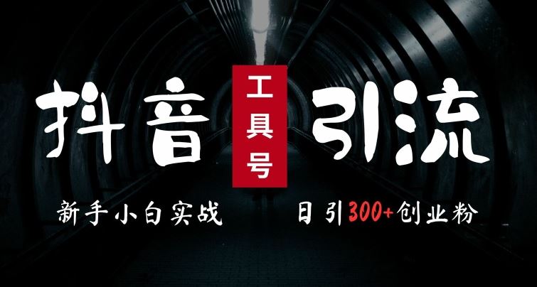 2024最新抖音工具号引流玩法，高效日引300+创业粉，当天变现5k，小白也可成为实战高手-凌秋网创