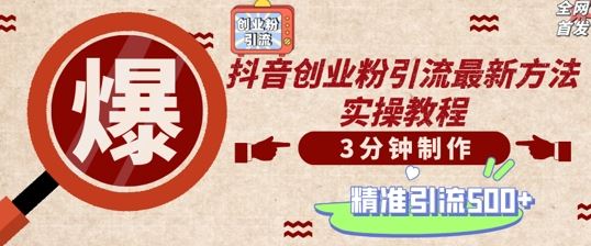 轻松制作创业类视频，一天被动加精准创业粉500+【揭秘】-凌秋网创