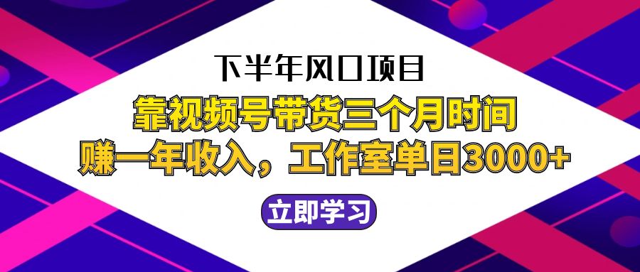 下半年风口项目，靠视频号带货三个月时间赚一年收入，工作室实测单日3…-凌秋网创