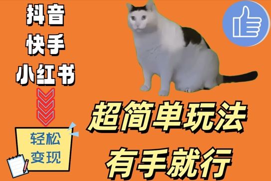超简单玩法，有手就行，靠猫咪视频日入500+【揭秘】-凌秋网创