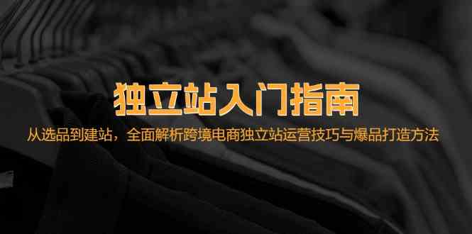 独立站入门指南：从选品到建站，全面解析跨境电商独立站运营技巧与爆品打造方法-凌秋网创