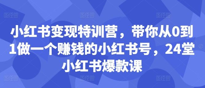 小红书变现特训营，带你从0到1做一个赚钱的小红书号，24堂小红书爆款课-凌秋网创
