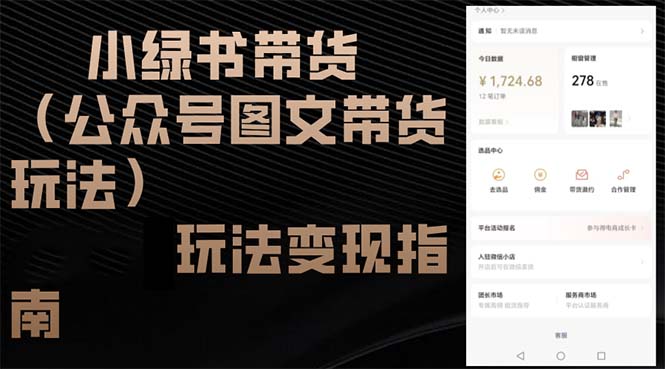 （12902期）小绿书带货（公众号图文带货玩法）玩法变现指南-凌秋网创