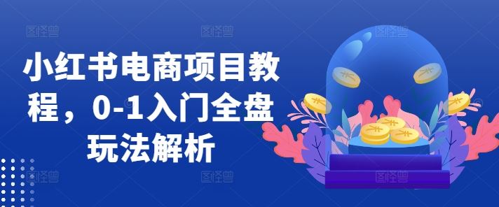 小红书电商项目教程，0-1入门全盘玩法解析-凌秋网创
