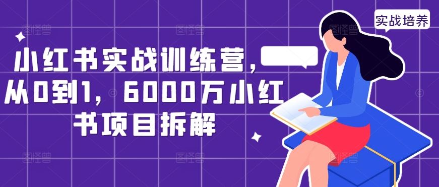 小红书实战训练营，从0到1，6000万小红书项目拆解-凌秋网创