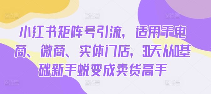 小红书矩阵号引流，适用于电商、微商、实体门店，30天从0基础新手蜕变成卖货高手-凌秋网创