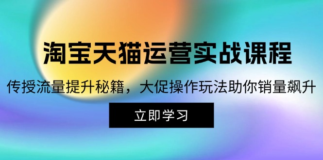 （12959期）淘宝&天猫运营实战课程，传授流量提升秘籍，大促操作玩法助你销量飙升-凌秋网创