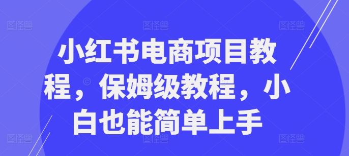 小红书电商项目教程，保姆级教程，小白也能简单上手-凌秋网创