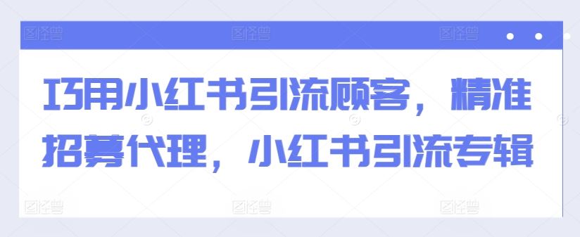 巧用小红书引流顾客，精准招募代理，小红书引流专辑-凌秋网创