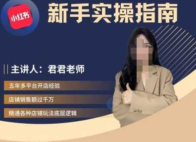 君君-小红书电商从入门到精通，新手实操指南-凌秋网创