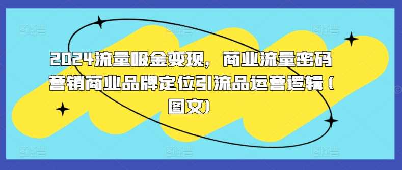 2024流量吸金变现，商业流量密码营销商业品牌定位引流品运营逻辑(图文)-凌秋网创