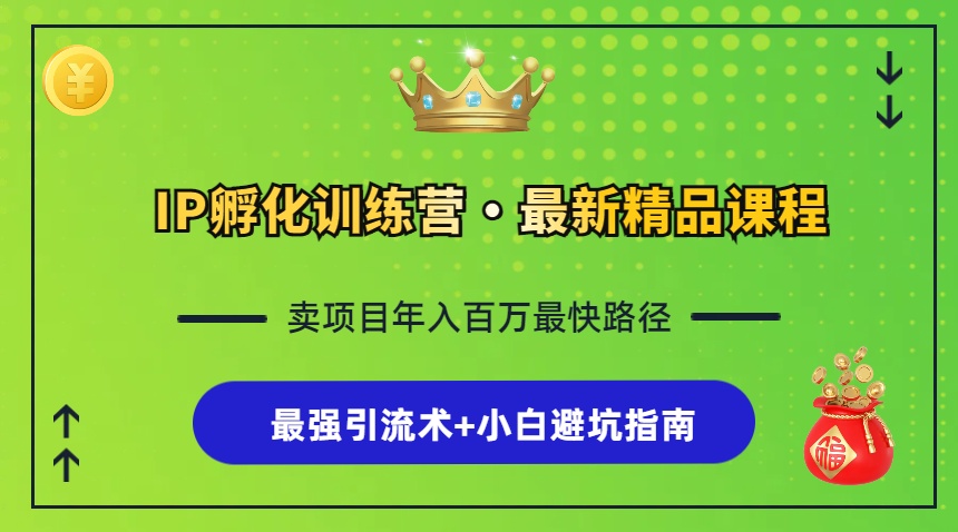 （13055期）IP孵化训练营，知识付费全流程+最强引流术+小白避坑指南-凌秋网创