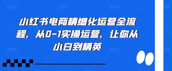 小红书电商精细化运营全流程，从0-1实操运营，让你从小白到精英-凌秋网创