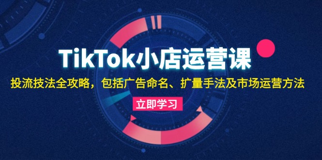 （13063期）TikTok小店运营课：投流技法全攻略，包括广告命名 扩量手法及市场运营方法-凌秋网创