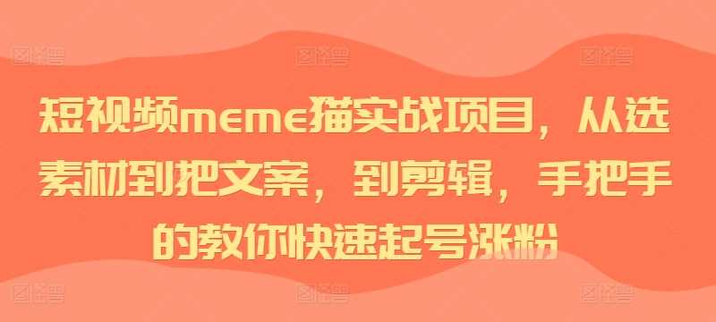 短视频meme猫实战项目，从选素材到把文案，到剪辑，手把手的教你快速起号涨粉-凌秋网创