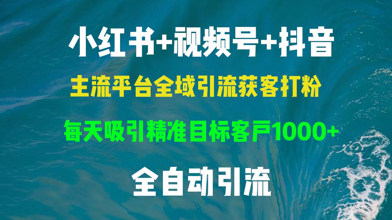 （13104期）小红书，视频号，抖音主流平台全域引流获客打粉，每天吸引精准目标客户…-凌秋网创