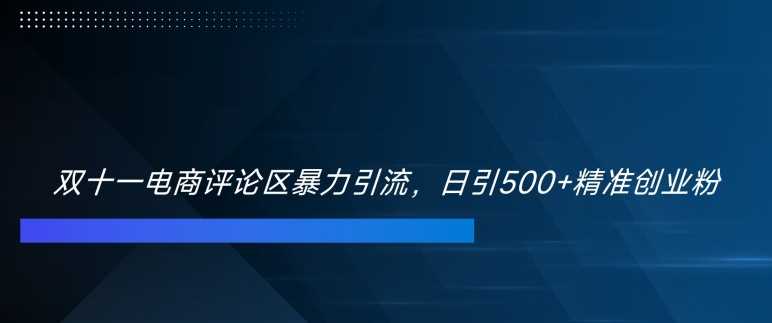 双十一电商评论区暴力引流，日引500+精准创业粉【揭秘】-凌秋网创