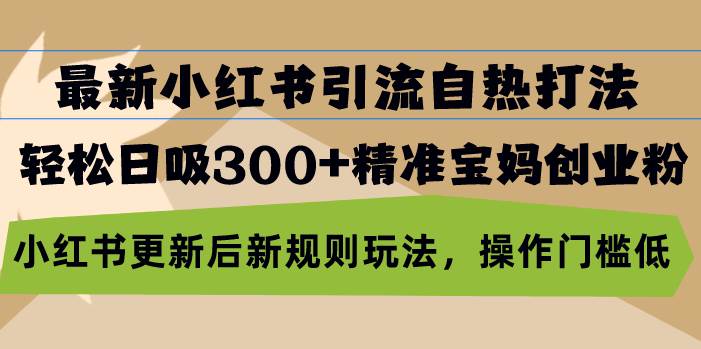 （13145期）最新小红书引流自热打法，轻松日吸300+精准宝妈创业粉，小红书更新后新…-凌秋网创