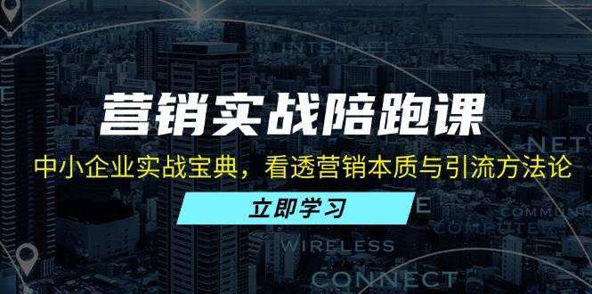 （13146期）营销实战陪跑课：中小企业实战宝典，看透营销本质与引流方法论-凌秋网创