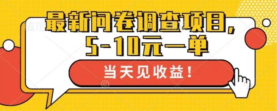 （13167期）最新问卷调查项目，单日零撸100＋-凌秋网创