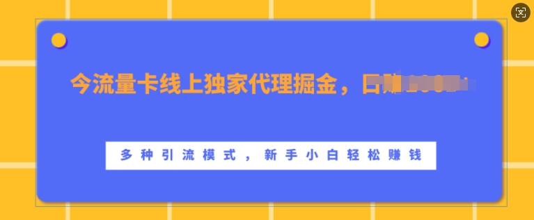 流量卡线上独家代理掘金，日入1k+ ，多种引流模式，新手小白轻松上手【揭秘】-凌秋网创
