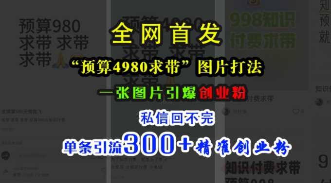 小红书“预算4980带我飞”图片打法，一张图片引爆创业粉，私信回不完，单条引流300+精准创业粉-凌秋网创