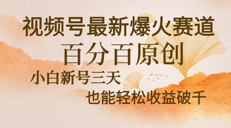 （13225期）视频号最新爆火赛道，中老年粉深信不疑，百分百原创，新号三天收益轻松…-凌秋网创