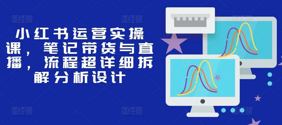 小红书运营实操课，笔记带货与直播，流程超详细拆解分析设计-凌秋网创