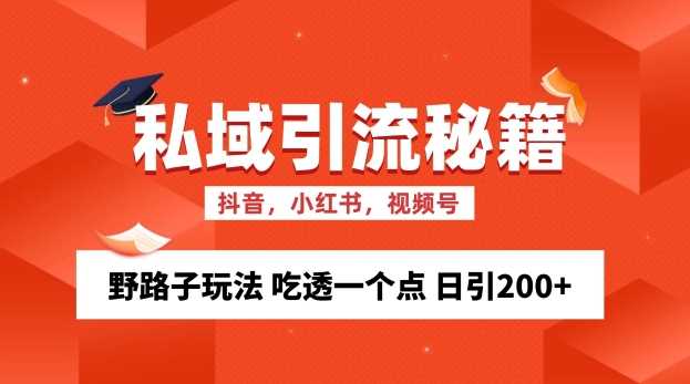 私域流量的精准化获客方法 野路子玩法 吃透一个点 日引200+ 【揭秘】-凌秋网创