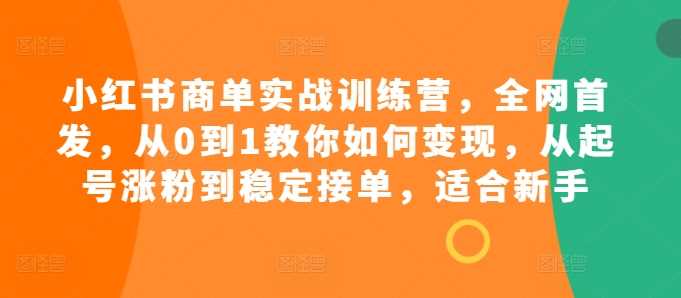 小红书商单实战训练营，全网首发，从0到1教你如何变现，从起号涨粉到稳定接单，适合新手-凌秋网创