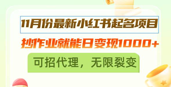 （13256期）11月份最新小红书起名项目，抄作业就能日变现1000+，可招代理，无限裂变-凌秋网创