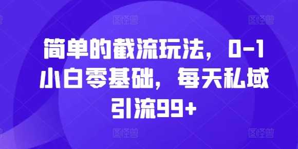 简单的截流玩法，0-1小白零基础，每天私域引流99+【揭秘】-凌秋网创