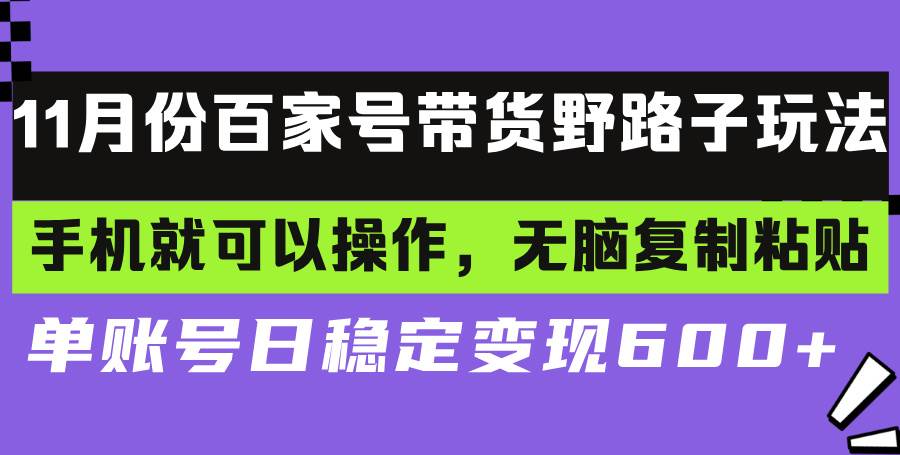 （13281期）百家号带货野路子玩法 手机就可以操作，无脑复制粘贴 单账号日稳定变现…-凌秋网创