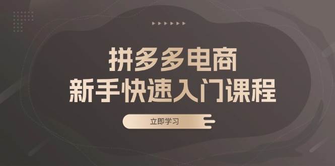 （13289期）拼多多电商新手快速入门课程：涵盖基础、实战与选款，助力小白轻松上手-凌秋网创
