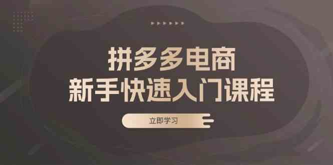 拼多多电商新手快速入门课程：涵盖基础、实战与选款，助力小白轻松上手-凌秋网创