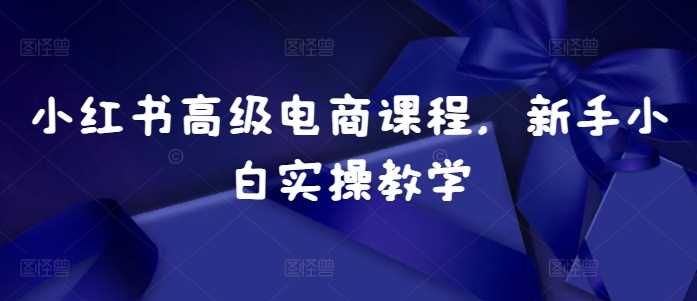 小红书高级电商课程，新手小白实操教学-凌秋网创