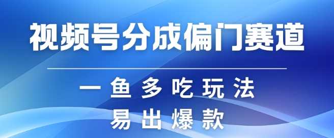 视频号创作者分成计划偏门类目，容易爆流，实拍内容简单易做【揭秘】-凌秋网创