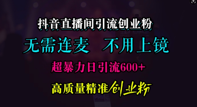 抖音直播间引流创业粉，无需连麦、无需上镜，超暴力日引流600+高质量精准创业粉【揭秘】-凌秋网创