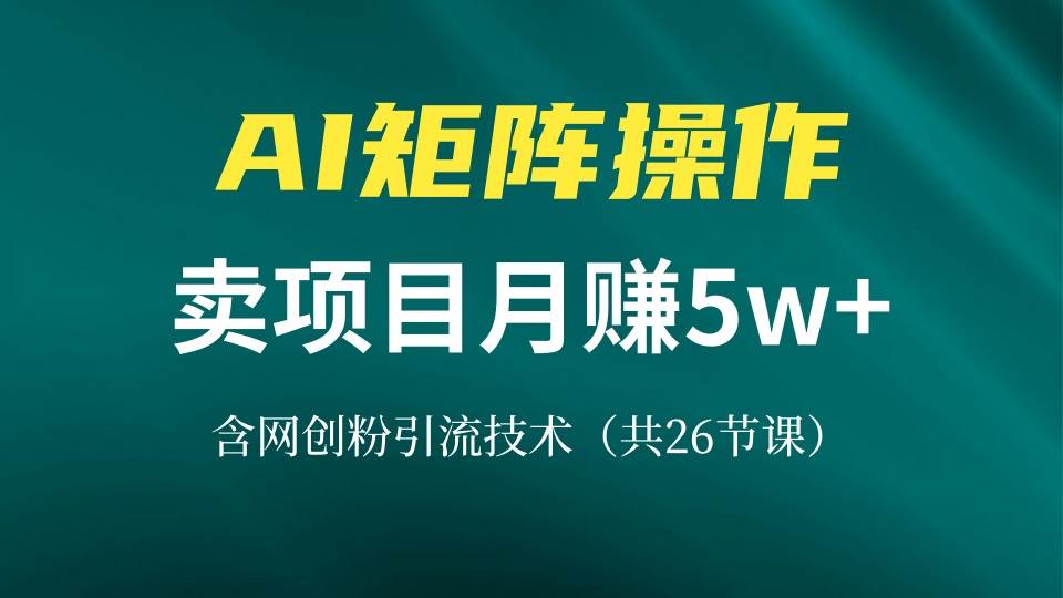 （13335期）网创IP打造课，借助AI卖项目月赚5万+，含引流技术（共26节课）-凌秋网创