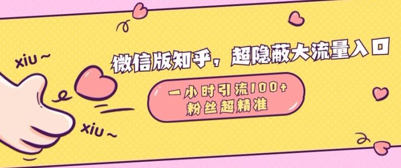 微信版知乎，超隐蔽流量入口1小时引流100人，粉丝质量超高【揭秘】-凌秋网创