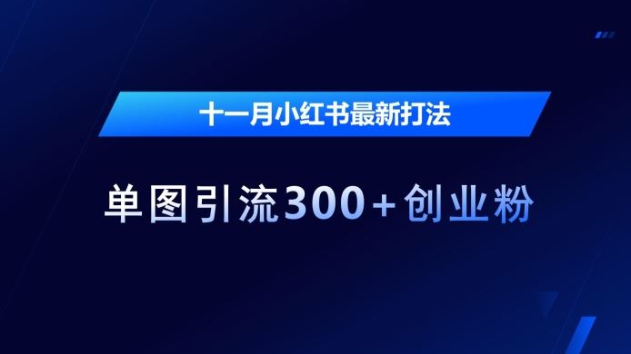 十一月小红书最新打法，单图引流300+创业粉【揭秘】-凌秋网创