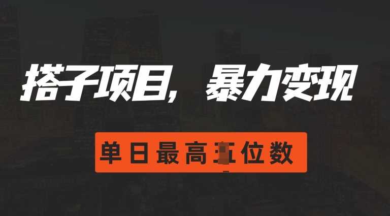 2024搭子玩法，0门槛，暴力变现，单日最高破四位数【揭秘】-凌秋网创