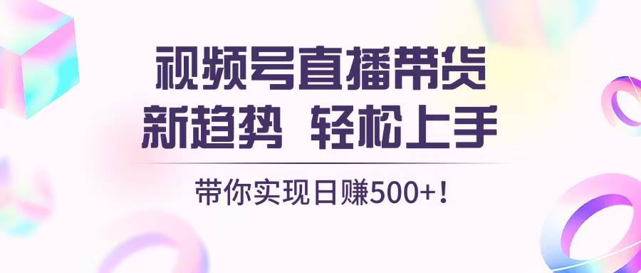 （13370期）视频号直播带货新趋势，轻松上手，带你实现日赚500+-凌秋网创