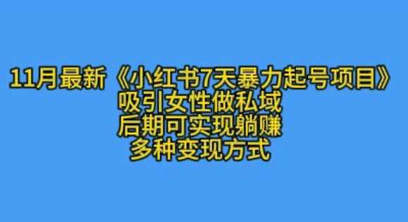 K总部落11月最新小红书7天暴力起号项目，吸引女性做私域【揭秘】-凌秋网创
