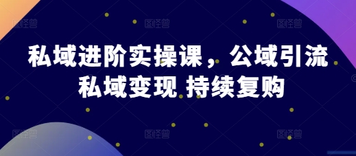 私域进阶实操课，公域引流 私域变现 持续复购-凌秋网创