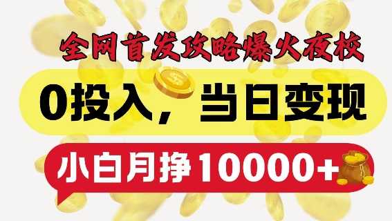 全网首发爆火夜校，0投入，当日变现，小白轻松月入1w+【揭秘】-凌秋网创